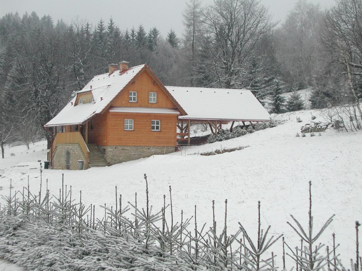 Chata U Lesa Vyprachtice Exterior photo
